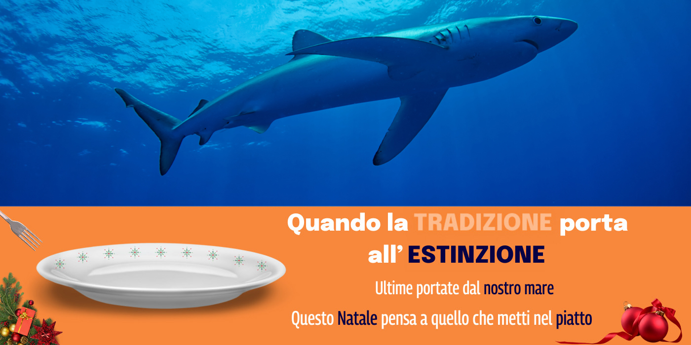 Immagine Verdesca specie in pericolo critico 